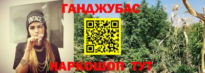 гидра Моздок